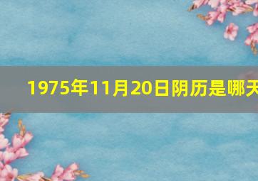 1975年11月20日阴历是哪天