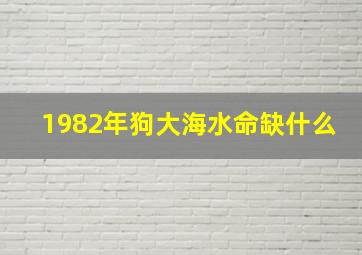 1982年狗大海水命缺什么