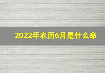 2022年农历6月是什么命