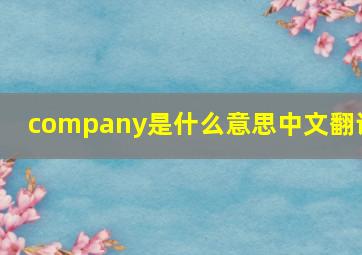 company是什么意思中文翻译