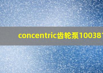 concentric齿轮泵1003815