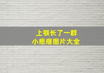 上颚长了一群小疙瘩图片大全