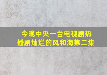 今晚中央一台电视剧热播剧灿烂的风和海第二集