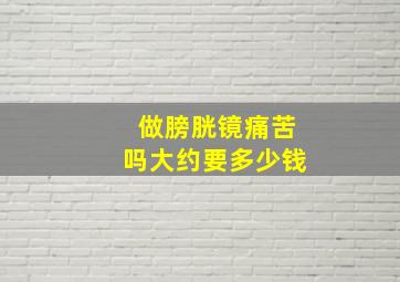 做膀胱镜痛苦吗大约要多少钱