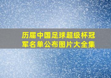 历届中国足球超级杯冠军名单公布图片大全集