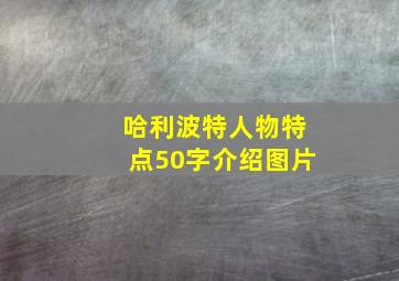 哈利波特人物特点50字介绍图片