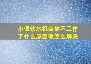 小佩饮水机突然不工作了什么原因呢怎么解决