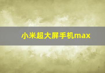 小米超大屏手机max