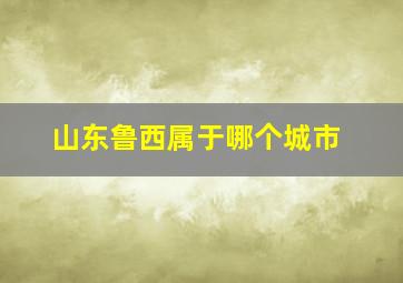 山东鲁西属于哪个城市