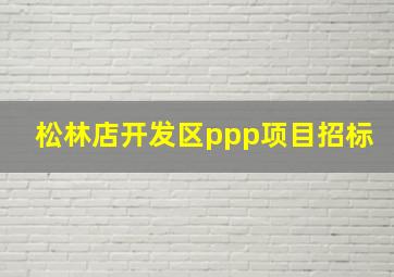 松林店开发区ppp项目招标