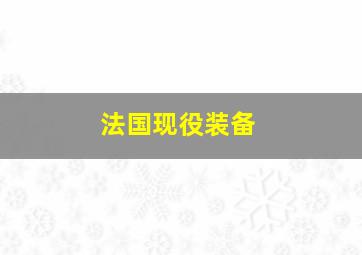 法国现役装备