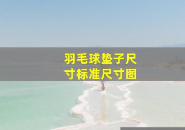 羽毛球垫子尺寸标准尺寸图