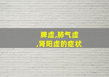 脾虚,肺气虚,肾阳虚的症状