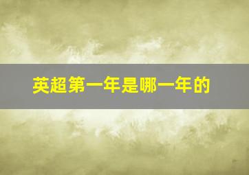 英超第一年是哪一年的