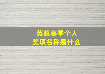 英超赛季个人奖项名称是什么